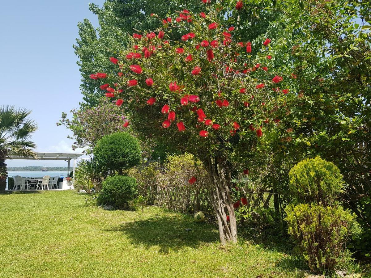 הוילה וורוורו Dimitra'S House מראה חיצוני תמונה